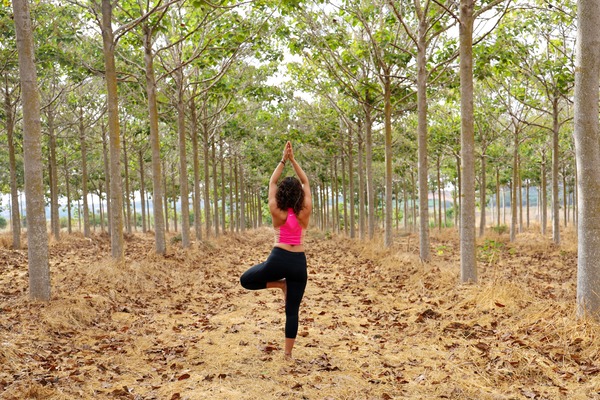 Meditation & Wellness Retreat