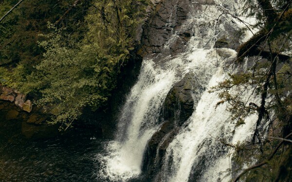 Waterfall Trail