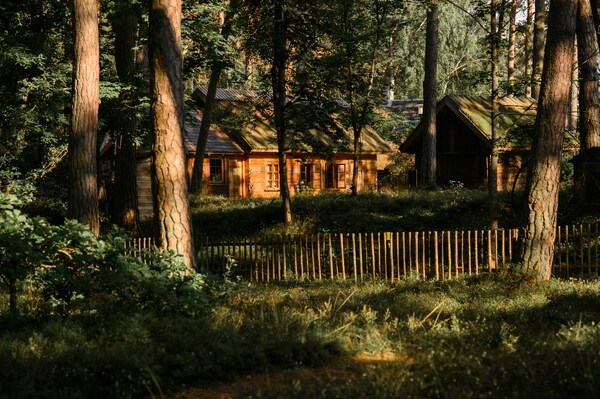Cabin Stay