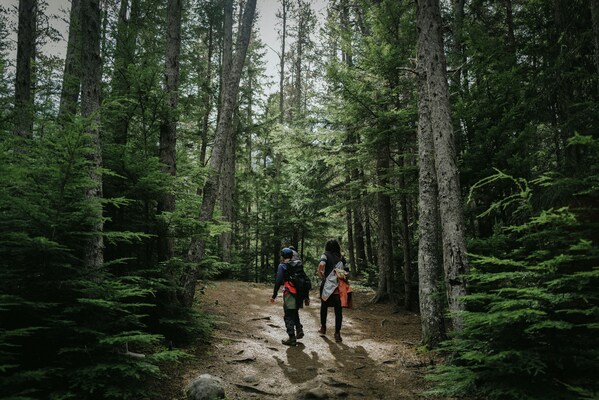 Medium Trekking