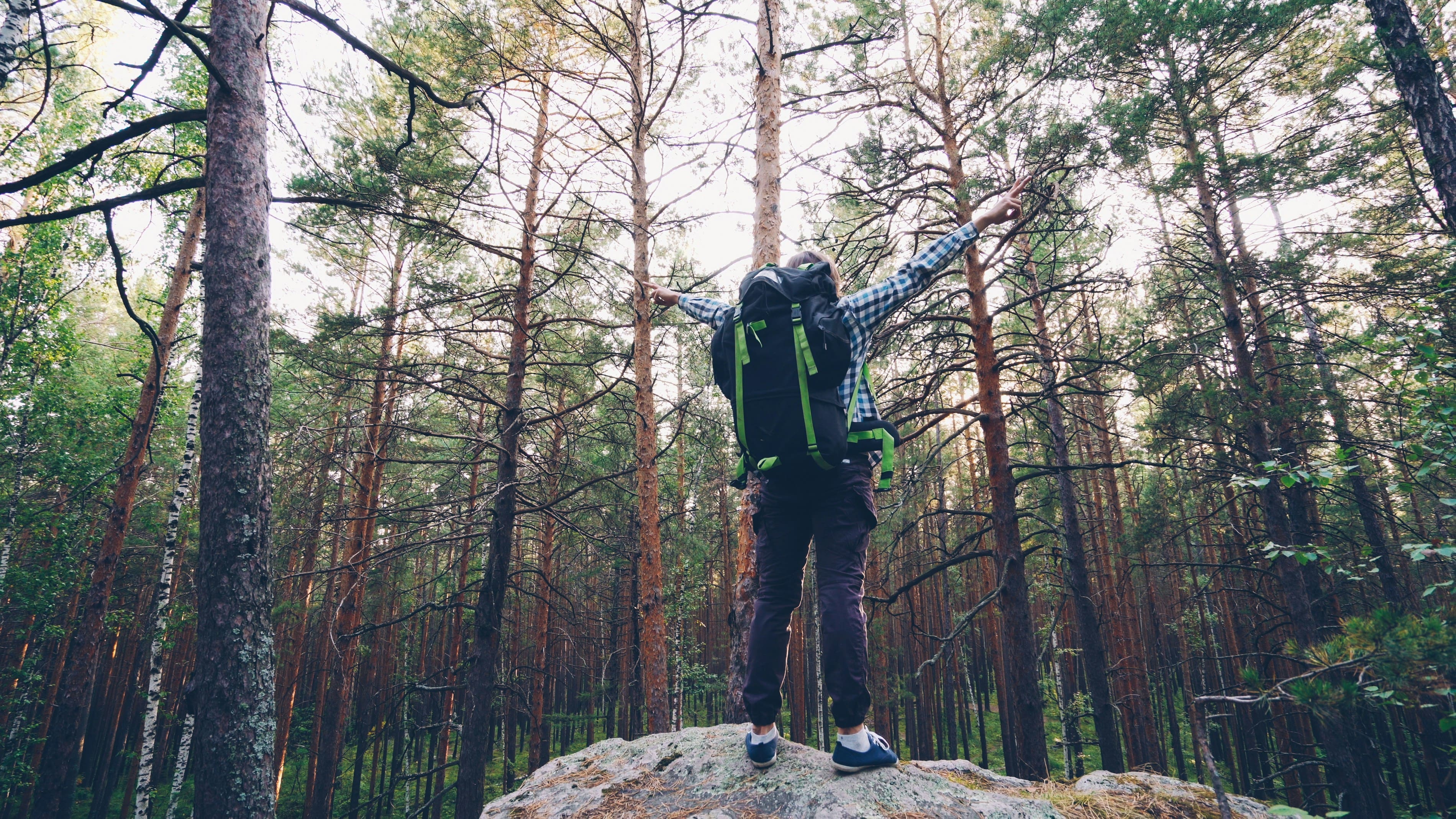 Pine Forest Adventure (Gold) – 2D1N