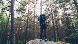 Pine Forest Adventure (Gold) – 2D1N